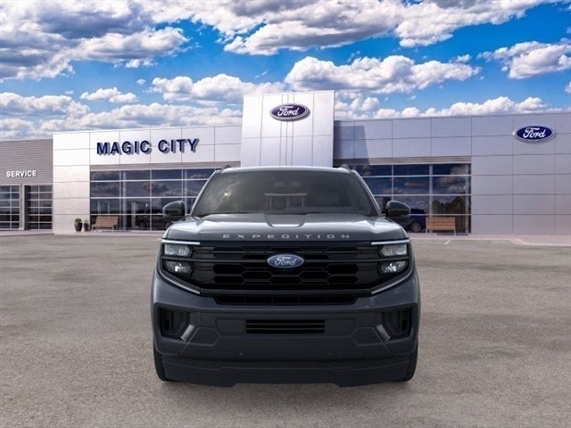 2025 Ford Expedition Active - Photo 6