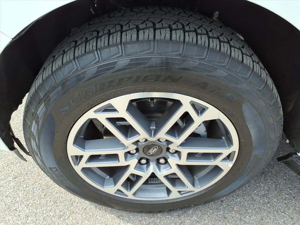 2025 Ford Expedition Active MAX