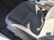 2021 Dodge Charger R/T RWD